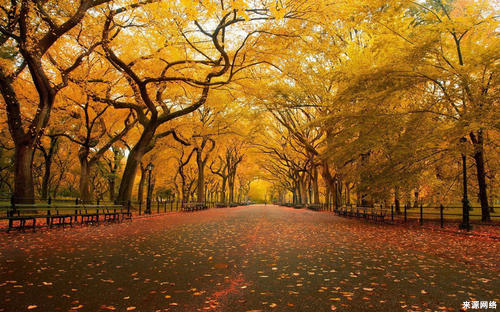 夜里憋尿对身体有什么影响,夜里憋尿的危害