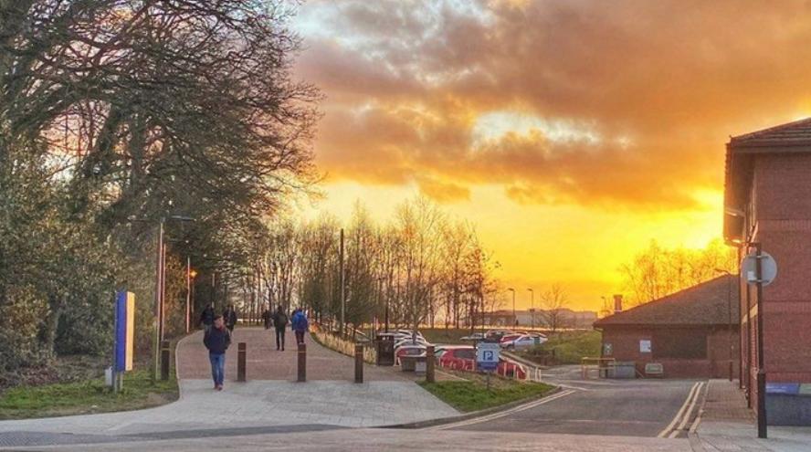 instagram最受欢迎的男模特,instagram最受欢迎的十大网红