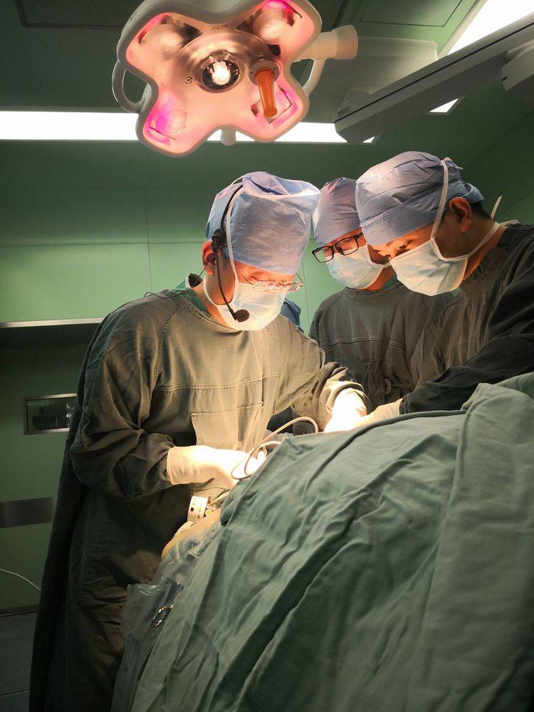 全国第27届泌尿外科学术会议,2024年全国泌尿外科年会