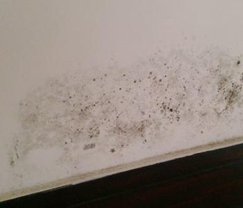 33元一平的墙板,28元每平的墙板怎么样