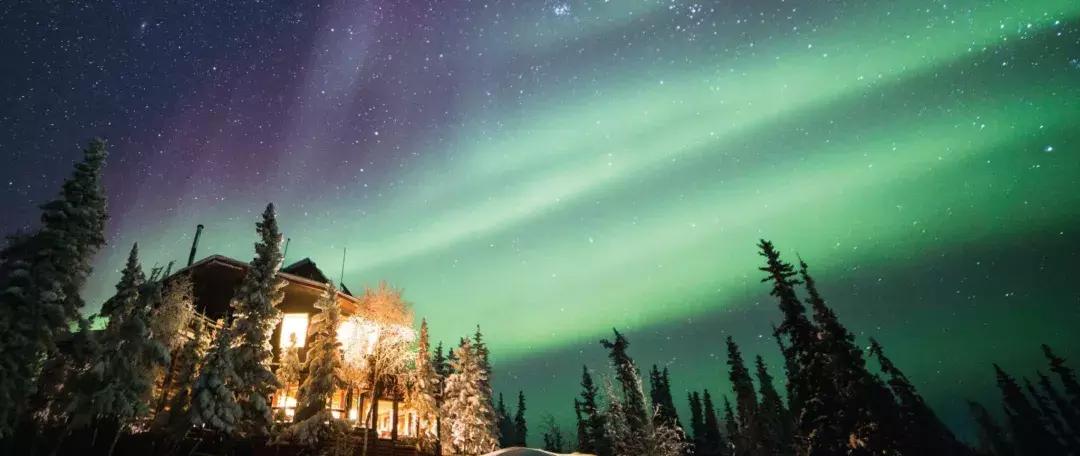 斑马旅游优缺点,斑马旅游2019