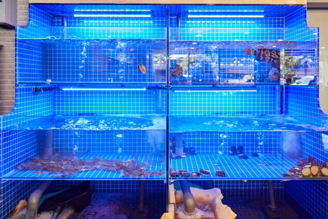 广州市区粤菜顺德菜推荐,去粤菜馆必点的4道菜