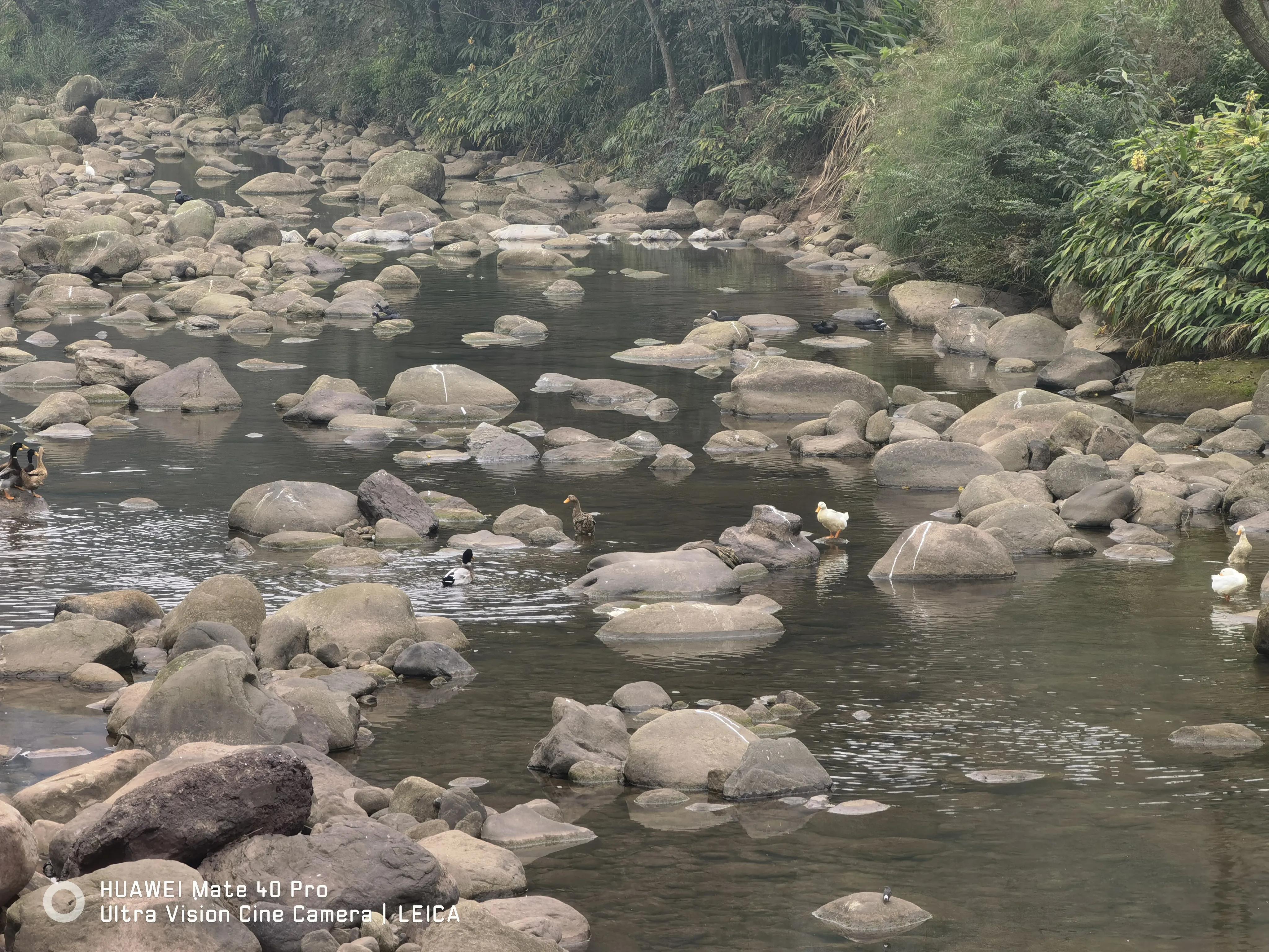 驻村干部要干什么,驻村干部做些什么