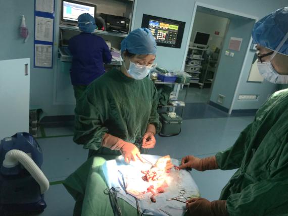 深圳市第二人民医院手足外科拯救东莞断臂伤者医生提醒--断肢千万不要泡水里！