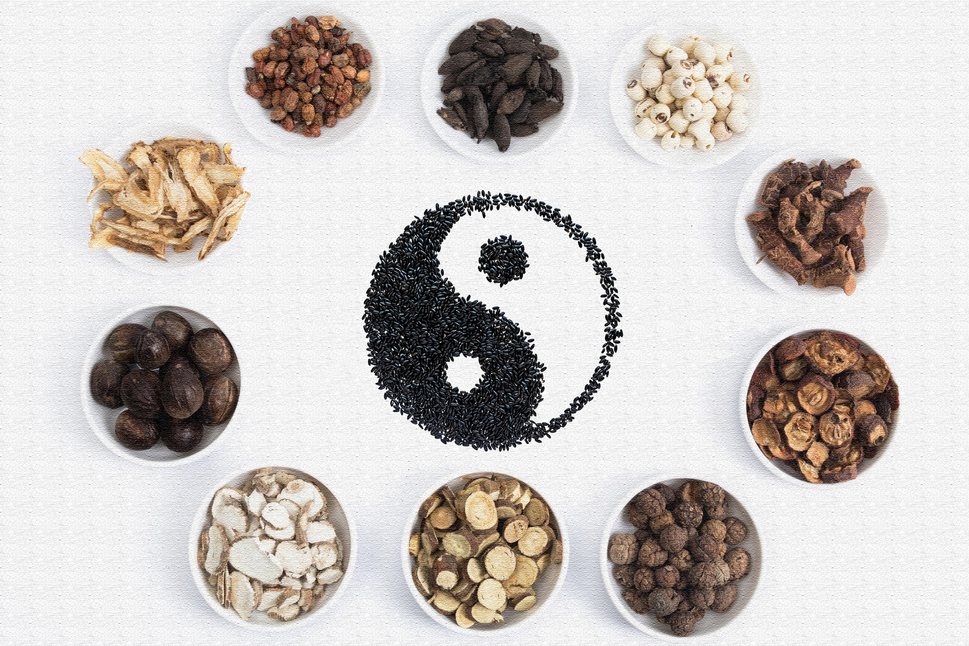 《老中医》小课堂之二：中医也有江湖，也分门派？