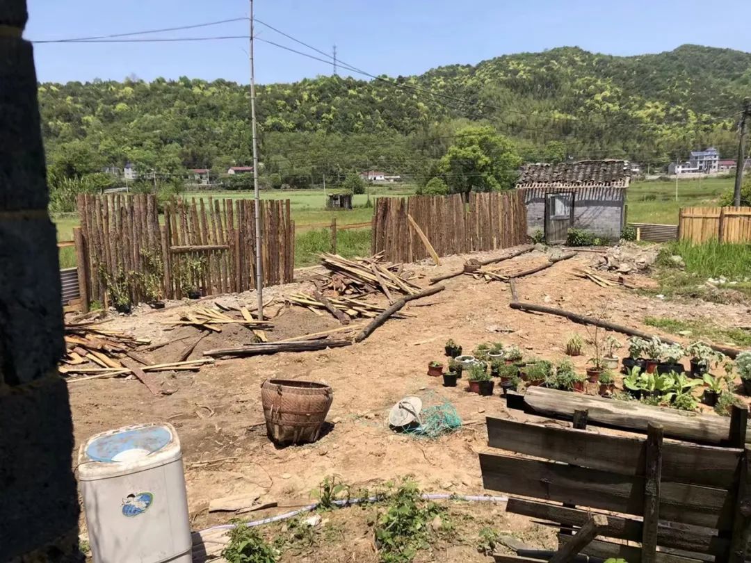 90后男孩住进郊区老屋，徒手打造400㎡自然花园，里面装满小精灵