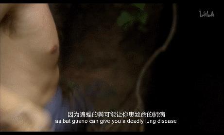 硬核保命指南,豆瓣评分6.7的书该不该看