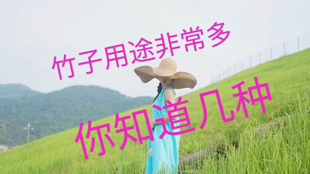 竹子成本低收益大,竹子的赚钱方法