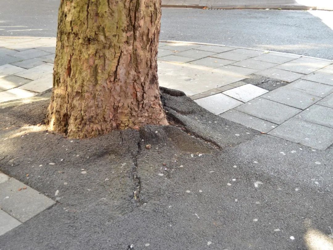 北大教授雷人言论,北大教授有哪些奇葩言论