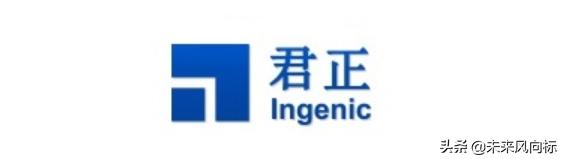 合肥科大讯飞是什么样的公司,合肥除了科大讯飞还有什么公司