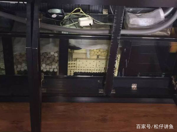鱼缸过滤选择有哪些技巧,鱼缸底过滤什么方式最好