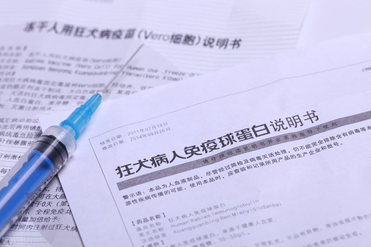 世界狂犬病日中国狂犬病发病情况,世界狂犬病间接传播