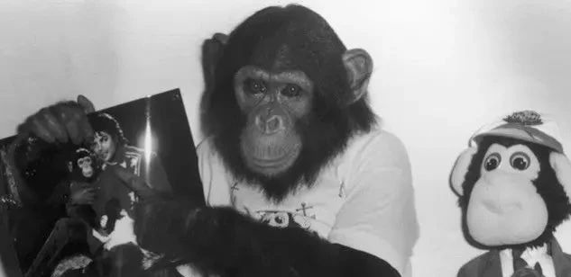 迈克尔杰克逊逝世12周年纪念日,迈克尔杰克逊逝世前12小时