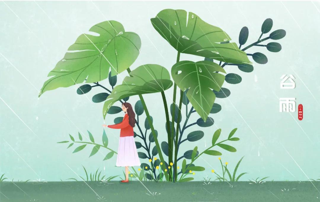 谷雨养肝祛湿正当时,春季养肝也要养胃饮食宜健脾养阳