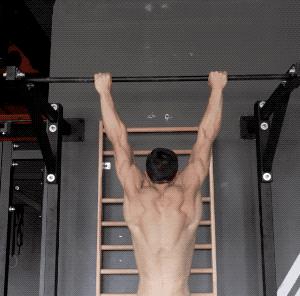 引体向上背部肌肉训练,引体向上12个肌肉怎么样