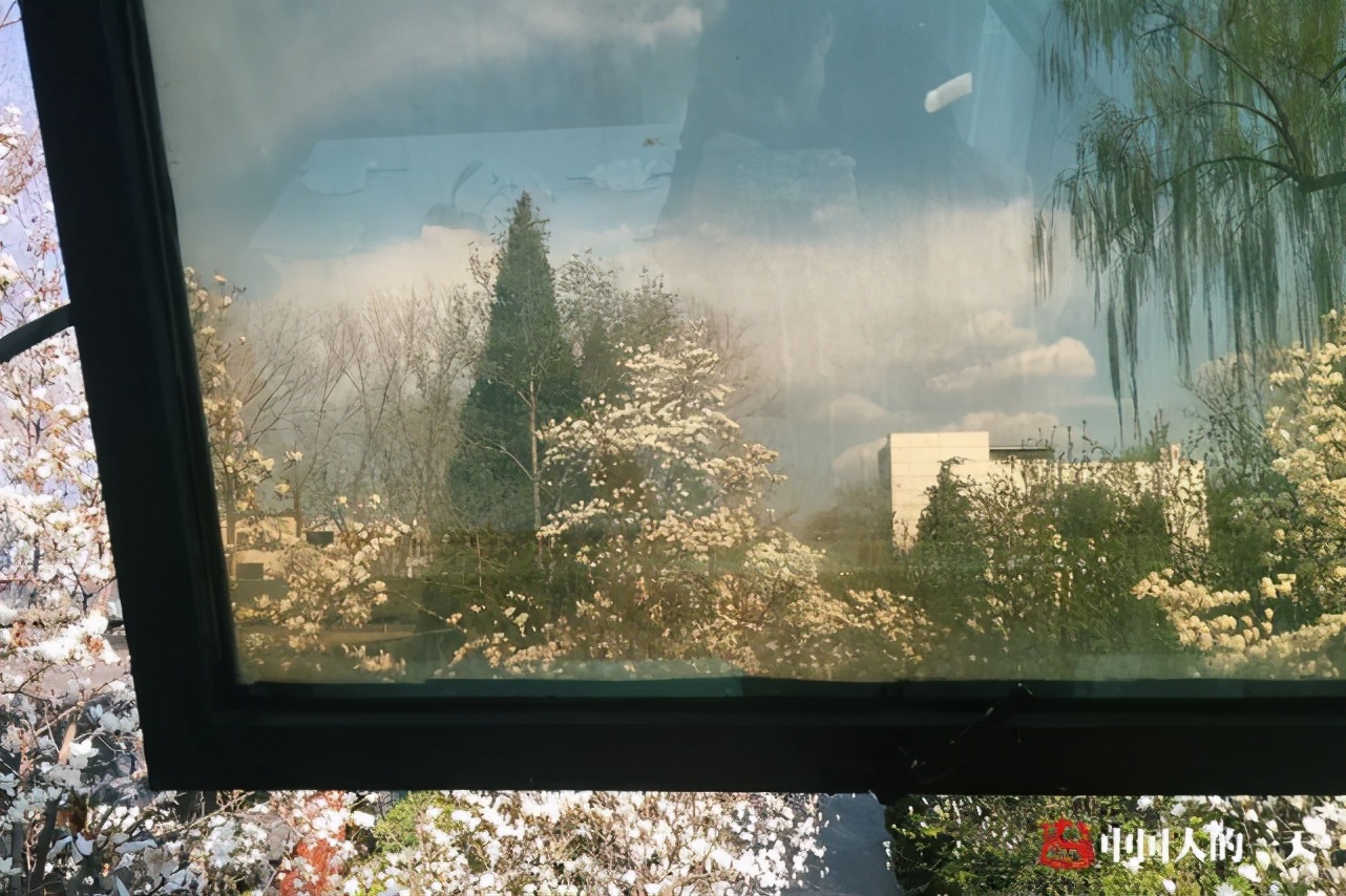 中国女人嫁给离婚三次的外国人,三个中国女人远嫁美国的亲身感悟