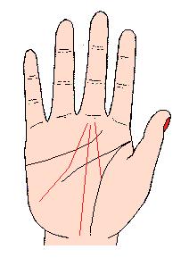 看手相可以预测什么,手相能预测考试吗