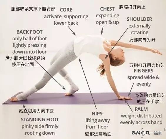 一篇文章两项内容，27张瑜伽细节图加练习注意事项，分享给大家