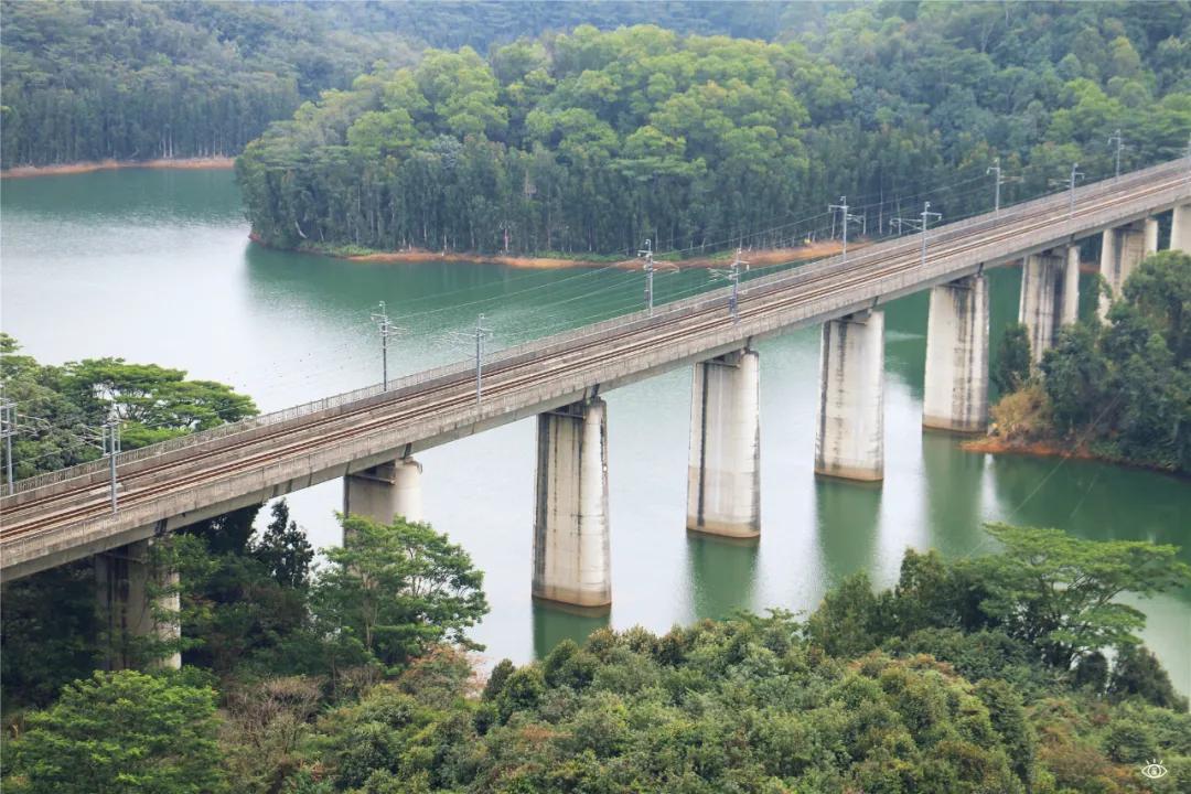 深圳这10条绿道你去过没,深圳十大绿道排行榜
