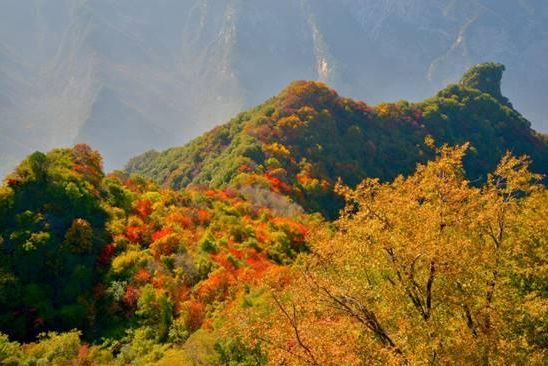 少华山红叶节完整视频,少华山赏红叶景区