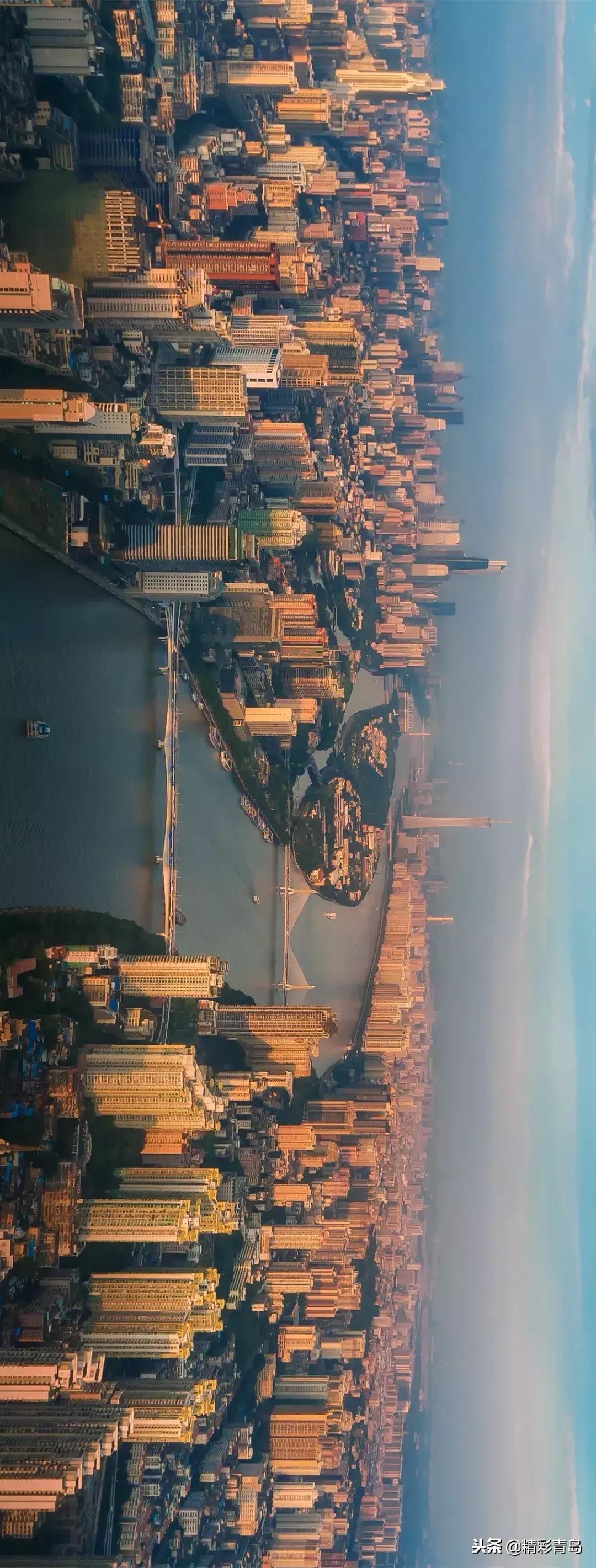 什么是麻雀定律,什么是应激反应表现有哪些