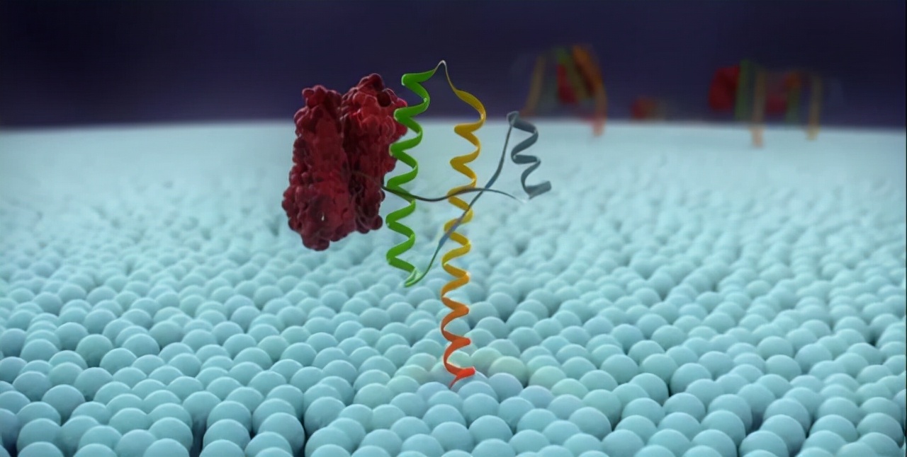 最可怕的朊病毒是什么,朊病毒有多可怕