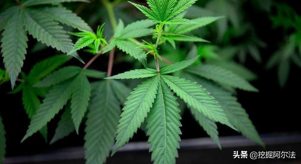 美股股票定价方法最新研究,美股投资选哪类股票