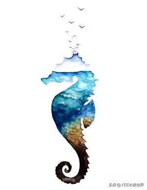 旗鱼在海洋中游动的速度可达290dm,旗鱼速度200公里