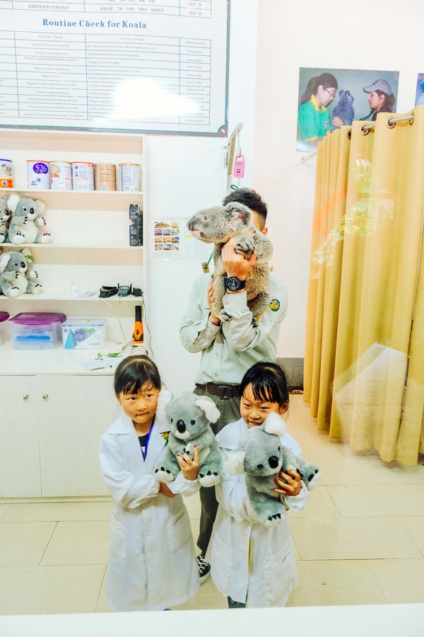 广州长隆旅游攻略自由行详细,广州长隆五一节3天2夜亲子游攻略