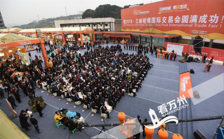 三峡柑橘展馆交易会,三峡柑橘国际交易会快报