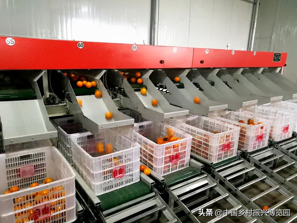 乡村振兴10个攻略,乡村振兴领域涉及哪些部门