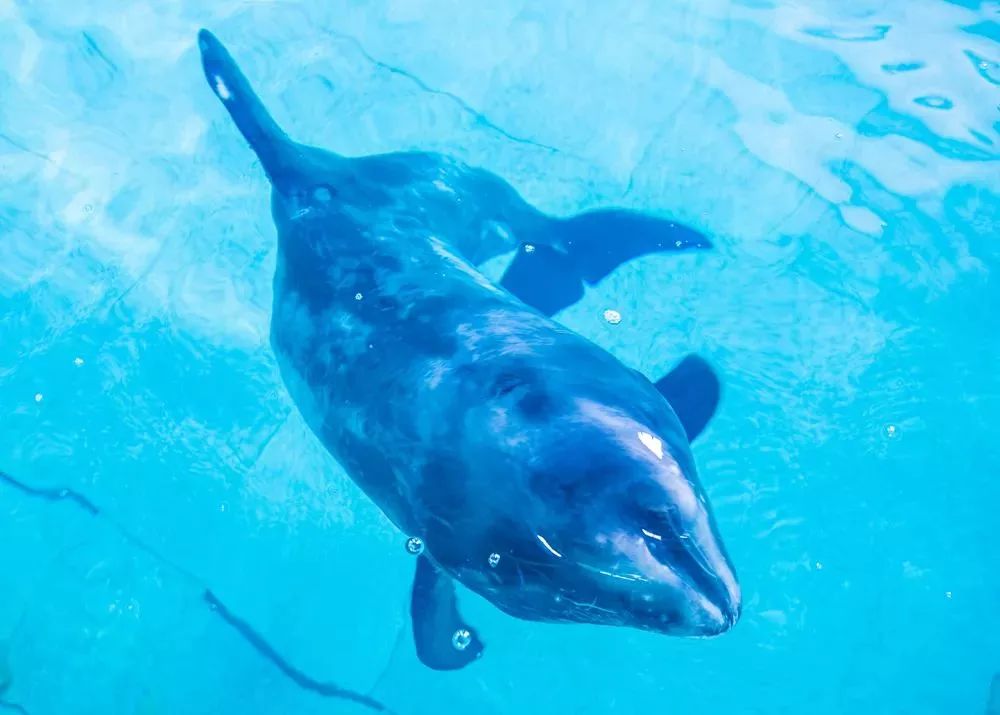 五一威海旅游最新攻略,威海五一旅行攻略