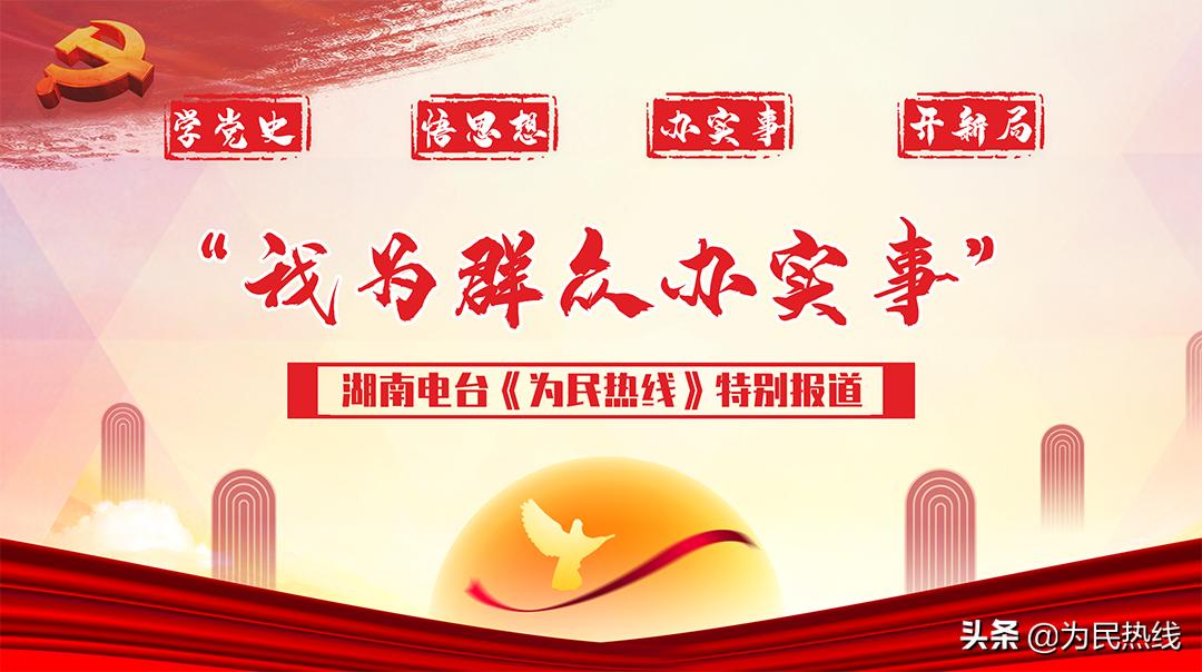 常德一污水池里种水葫芦，附近居民投诉：蚊子太多受不了