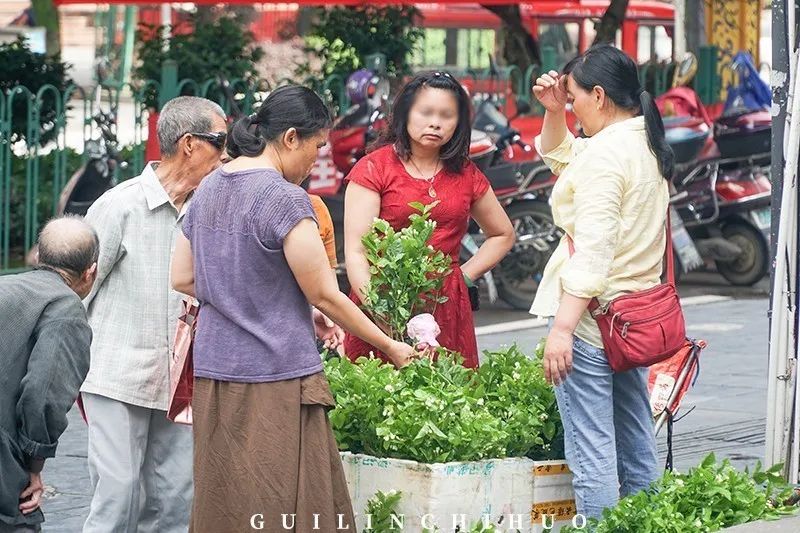 灵川县商贸城,灵川最好的商贸城