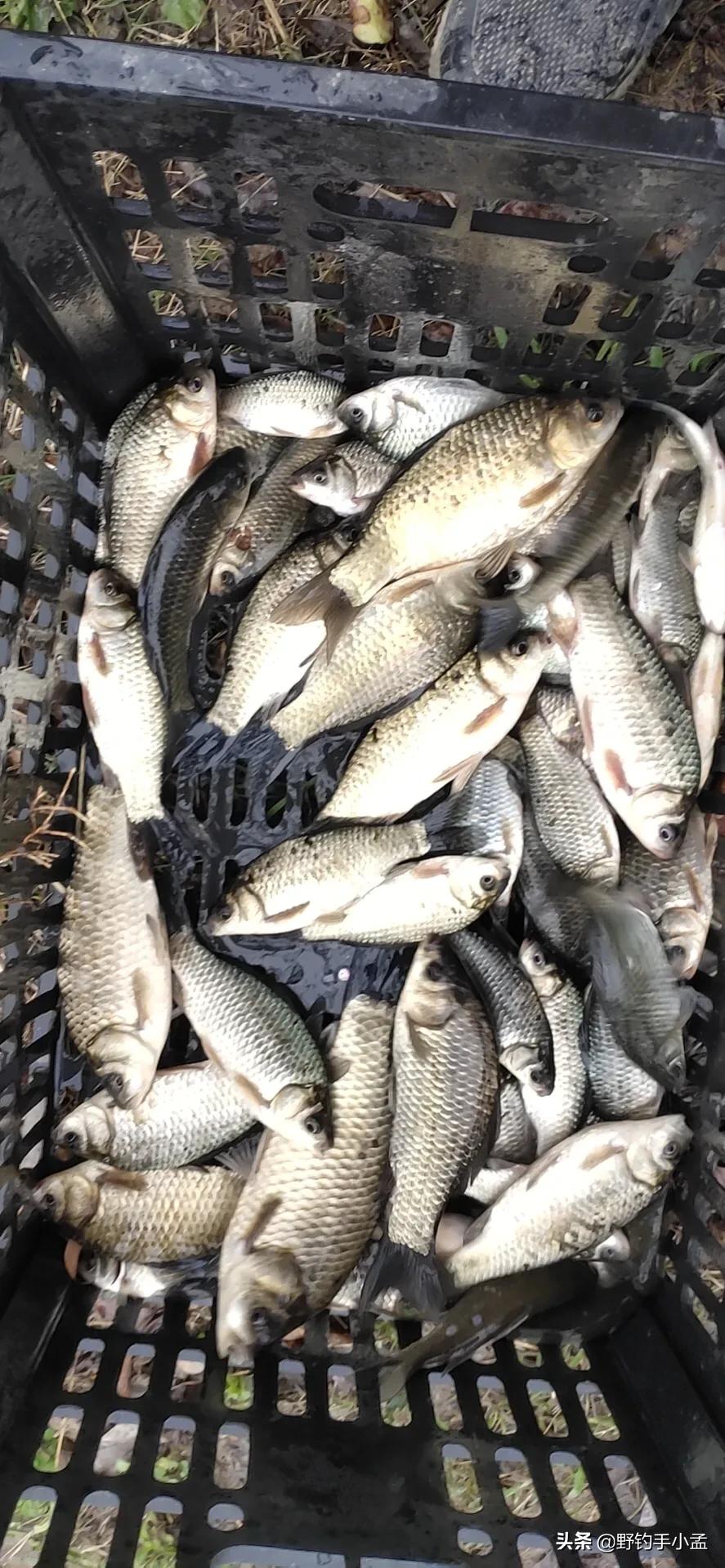 正确泡沫珠钓法图解,泡沫珠珠钓鱼方法