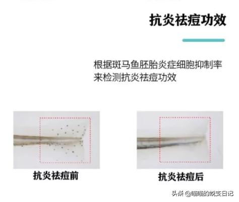 薇娅推荐+欧美国家断货，*麻大**CBD凭什么成为护肤网红成分扛把子？