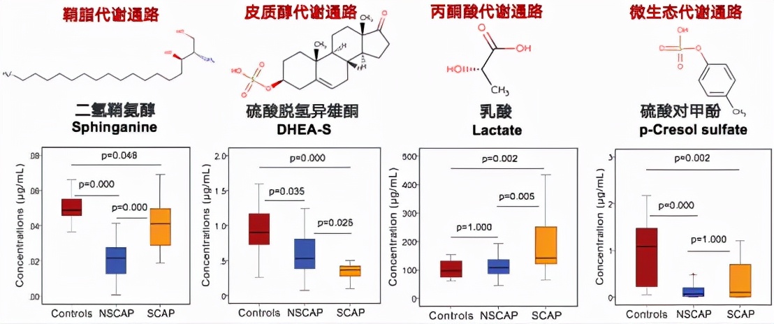 呼吸道病毒感染症状和治疗,cap感染