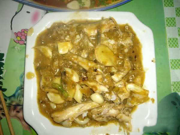 它一生只活一年，我们叫它“扔巴鱼”