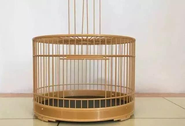 如何挑选鸟笼盖板和钩子,如何挑选金丝雀鸟笼
