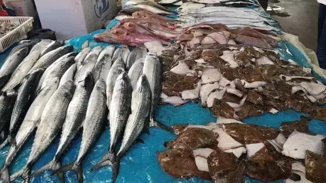 休渔期海鲜为什么涨价,今年威海休渔期最新政策