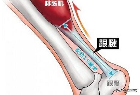 筋膜枪是不是智商税有没有必要买,筋膜枪是不是智商税