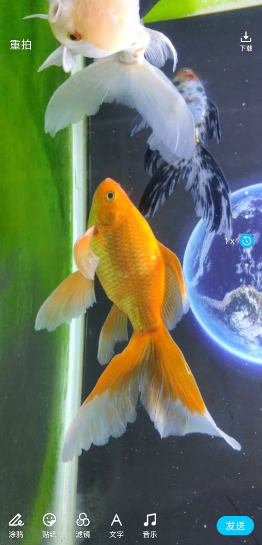 养鱼如何解决水的问题,养鱼困水最简单的方法