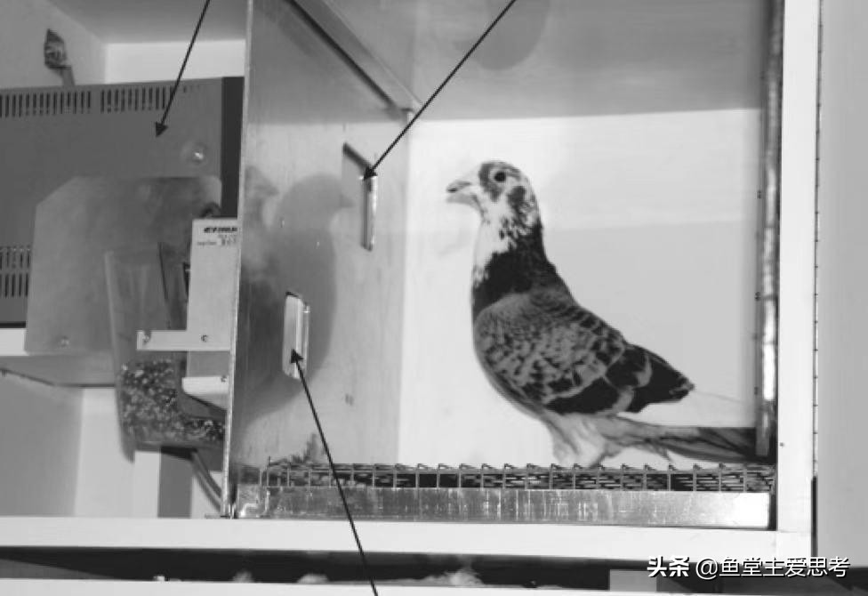 量子读课靠谱吗,参加智慧家长培训感受