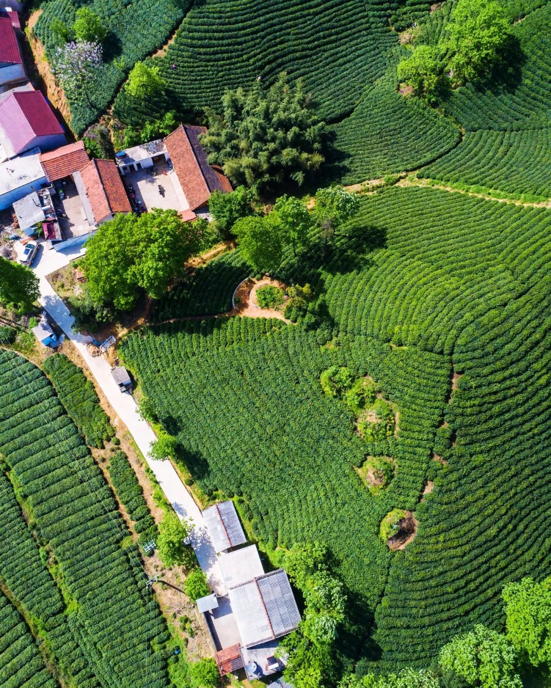 信阳人和河南人的关系,河南人与信阳人