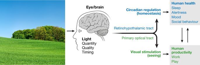 节能led用途,LED照明应用