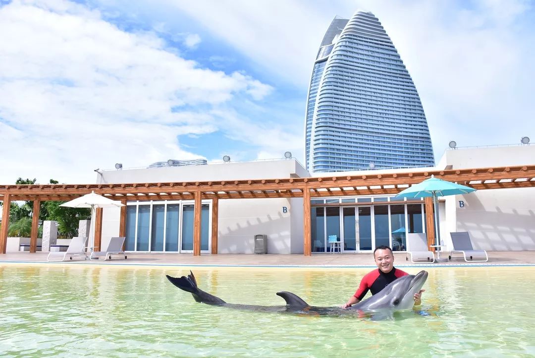 城市酒店好还是民宿好,度假酒店与城市酒店