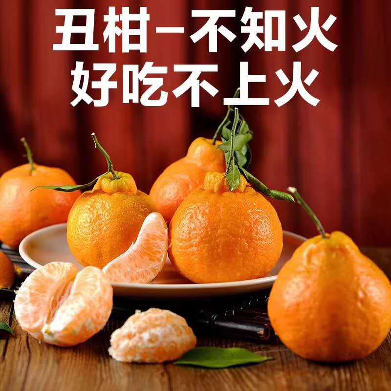 爆甜四川正宗丑橘不知火,不知火丑橘比耙耙柑好吃