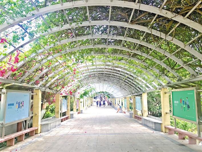 且听铿锵足音喜看塘尾变迁