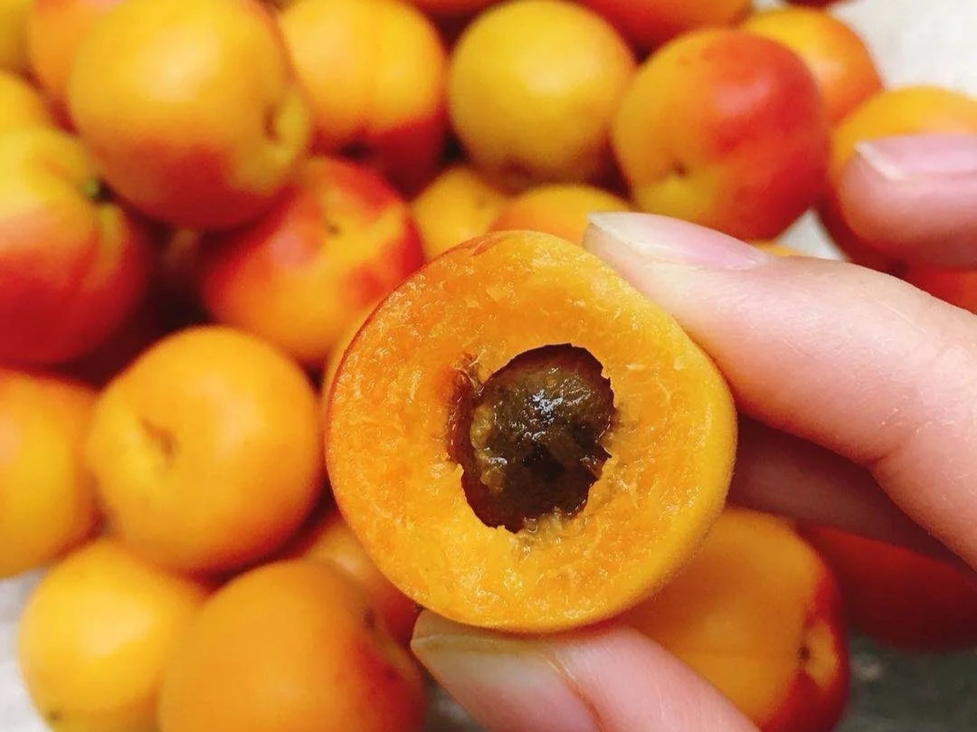 减肥坚决不能碰的食物一吃就胖,一吃就胖的伪减肥食物