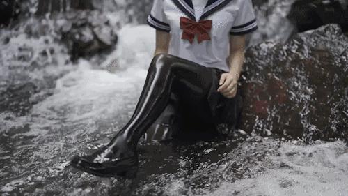 我家荷兰猪为啥总喜欢跳出笼子,荷兰猪奇葩名字